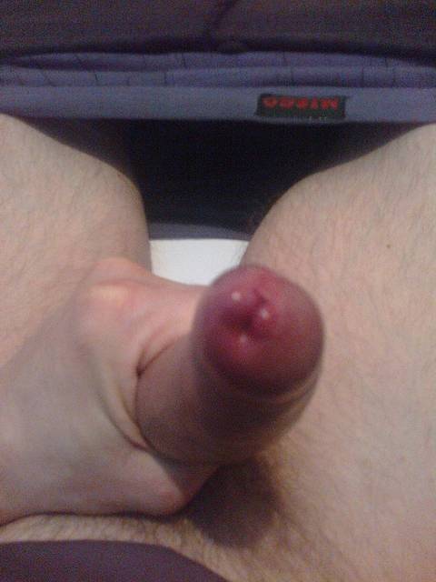 23032012066.jpg - Steven2912