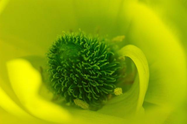 Skryte wewnątrz - yourmen