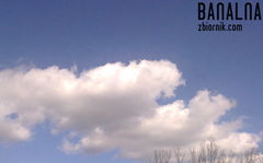 Prawie do nieba.....