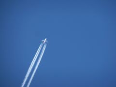 mam ochote na Hawaje