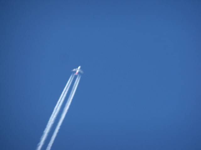 mam ochote na Hawaje - Polaco86