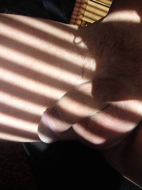 w słoneczku - Berektors