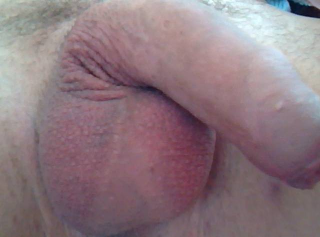 Picture 123.jpg - Blenders