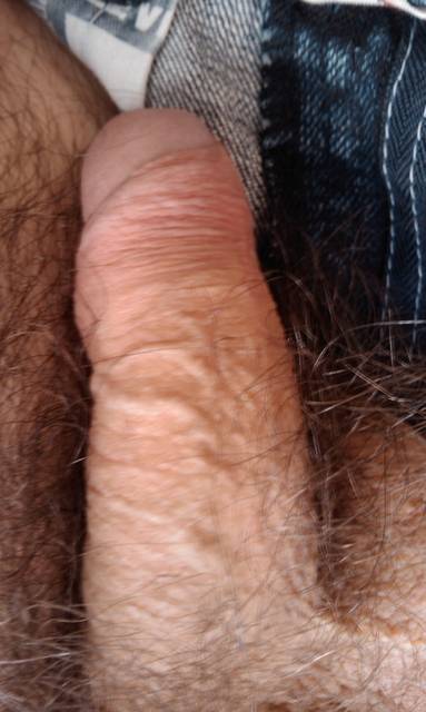 IMAG0372.1.jpg - ny39