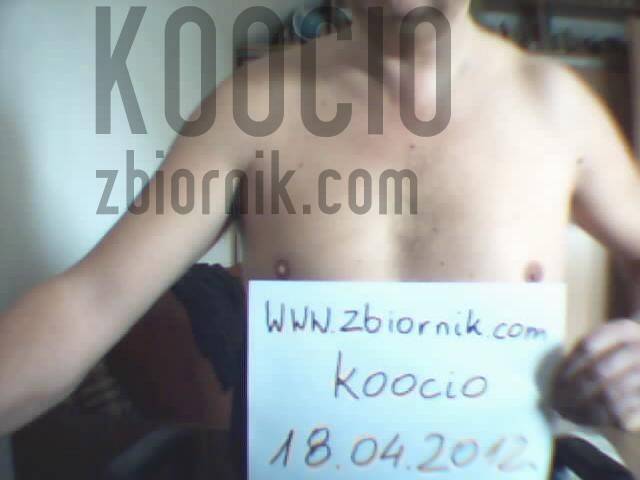 weryfikacja - koocio