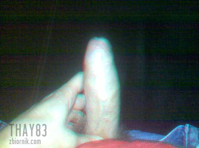 thay83