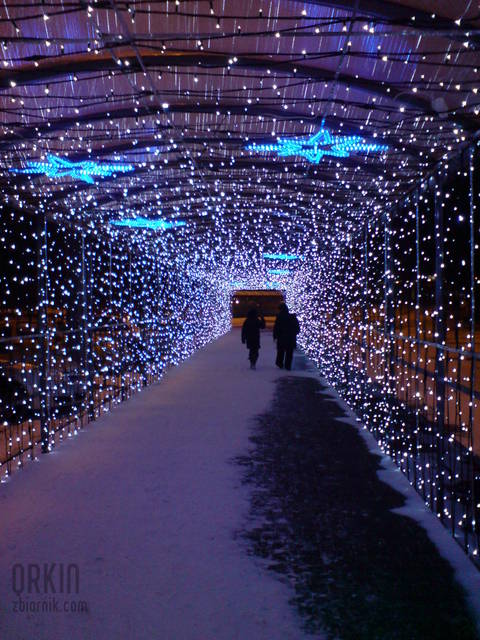 zima w pełni - QRKIN