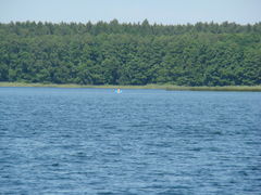 Piękne okoliczności przyrody