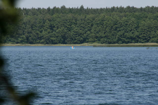 IMG_1410.JPG - daras33