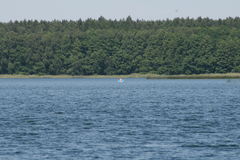 Uroki lata w woj. lubuskim