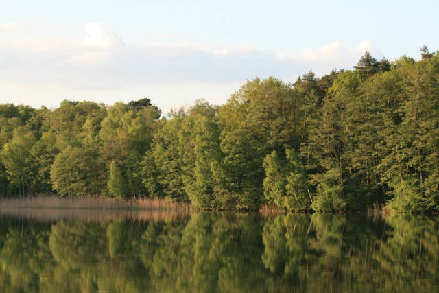 Oaza spokoju - daras33