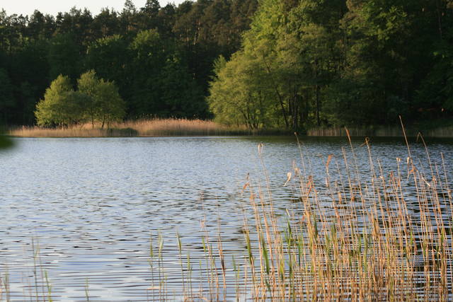 Kolejny miły zakątek - daras33