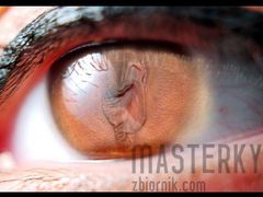 wpadła jednej w oko...