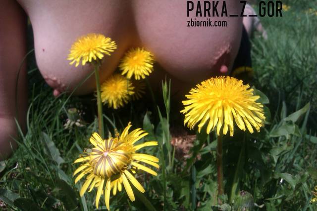 Mlecze :) - parka_z_gor