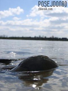 Latem nad wodą...