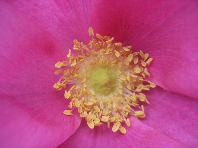 Blisko, coraz bliżej - avelanche