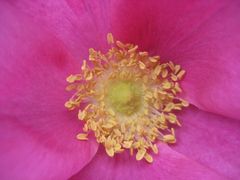 Blisko, coraz bliżej