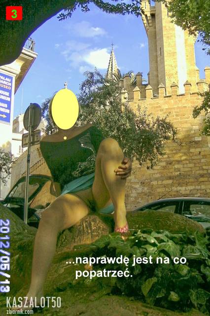 PICT2481pk.jpg - kaszalot50