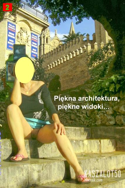 PICT2480pk.jpg - kaszalot50