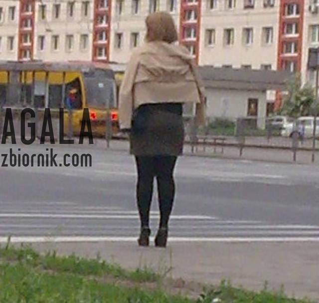 Bmj000cz.jpg - AGALA