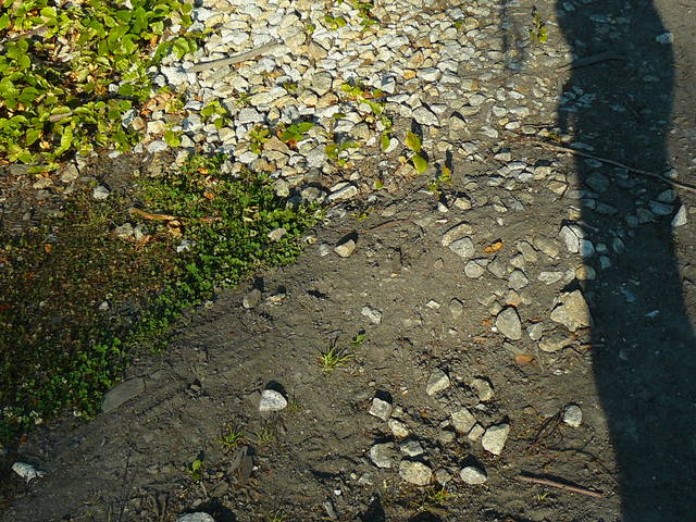 ...co widać??? - jaceks58