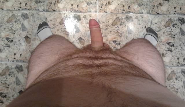 2.jpg - szalonyptaku