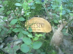 Hm... ale niespodzianka