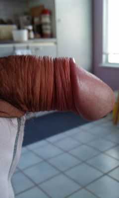 IMAG0610.1.jpg
