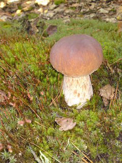 DSC01673.JPG