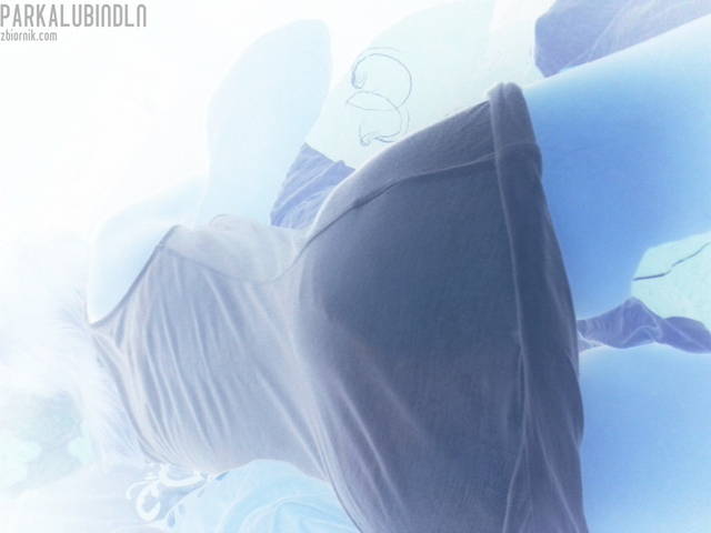 2012-06-28 23.08.45.jpg - parkalubindln