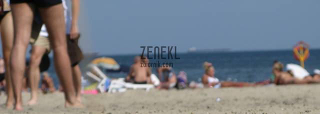 zenekl