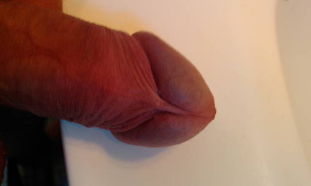 IMAG0632.1.jpg - ny39