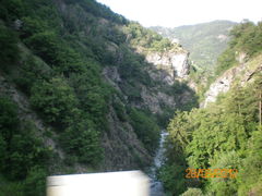 jestem między drzewami ....JPG