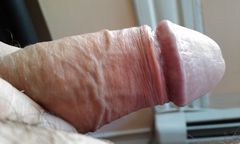 IMAG0638.1.jpg