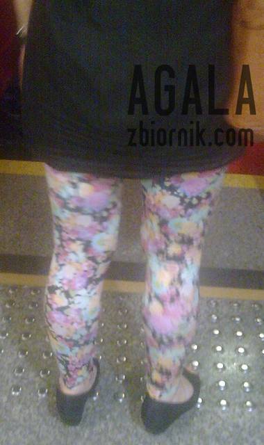 Chd007l.jpg - AGALA