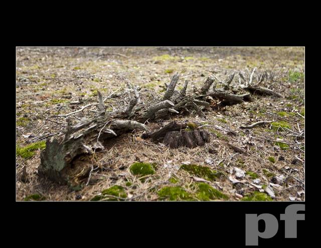 ULUBIONE SIEDZISKO DZIEWIC - panfoto