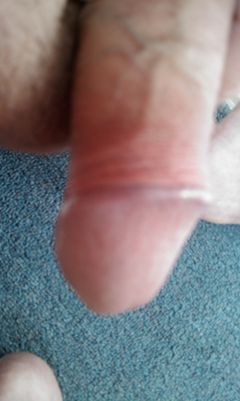 IMAG0654.1.jpg