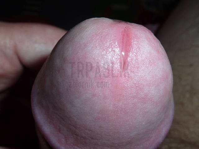 P1030164.JPG - trpaslik