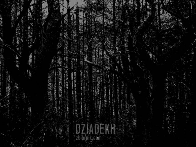 Las z horroru - dziadekh