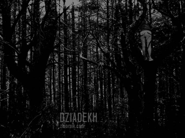 Coś się w lesie pojawiło - dziadekh