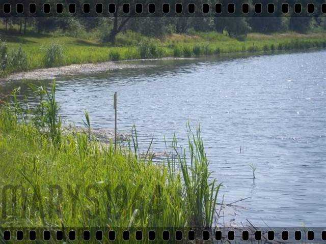 A może pod namiot ?? :))) - marys1964