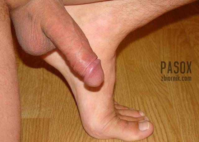 44.JPG - Pasox