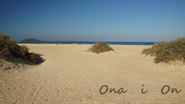 014.jpg - Ona__i__On