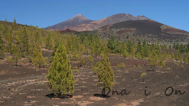 020.jpg - Ona__i__On