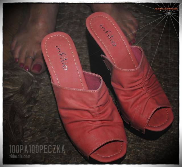 Koturny II 01 - 100pa100peczka