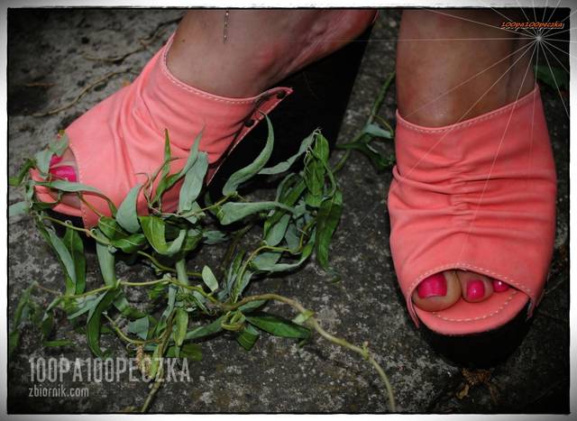 Koturny II 06 - 100pa100peczka