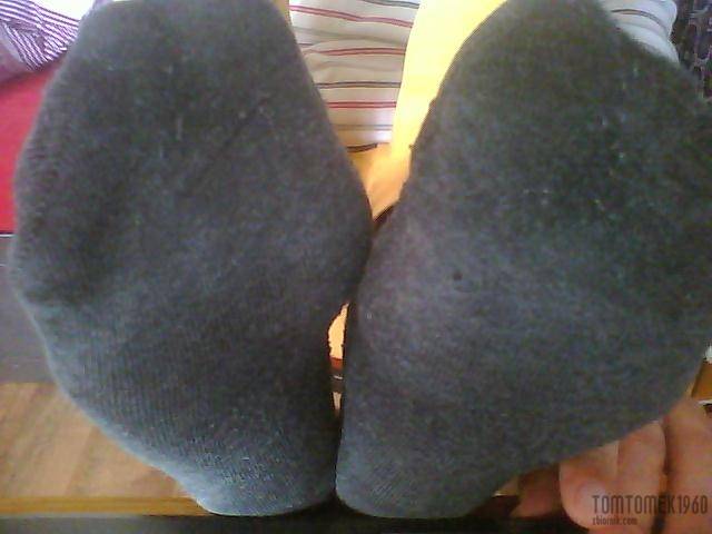 skarpetki :-) - Tomtomek1960