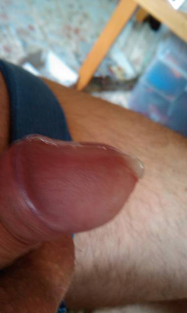 IMAG0721.1.jpg - ny39