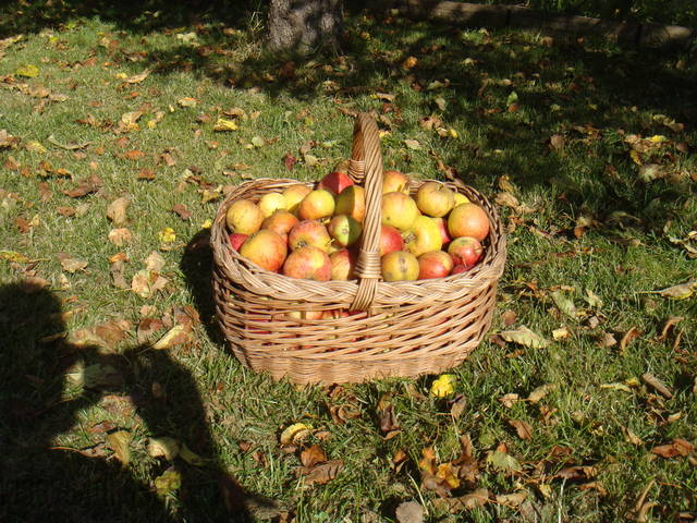 jesień - kisses4misses