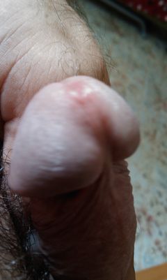 IMAG0734.1.jpg